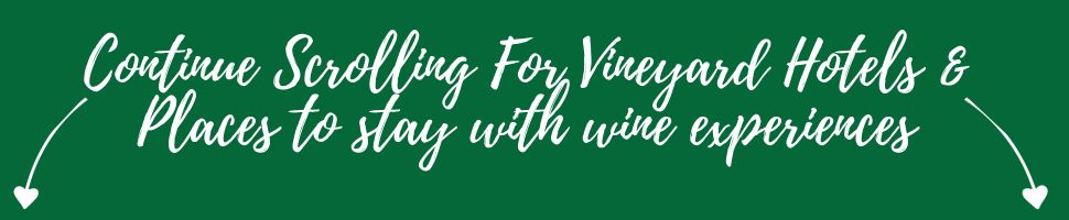 More vineyard hotels and accommodation with wine experiences below